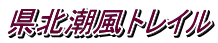 kgC