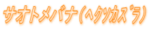 TIgoii͸ׁj