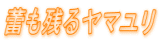 Qc郄}