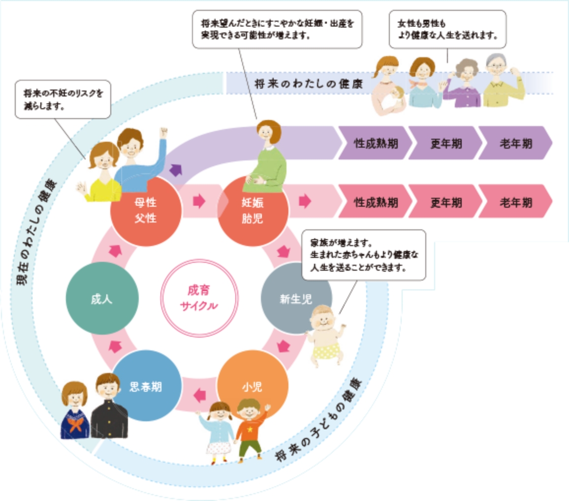 成育サイクル